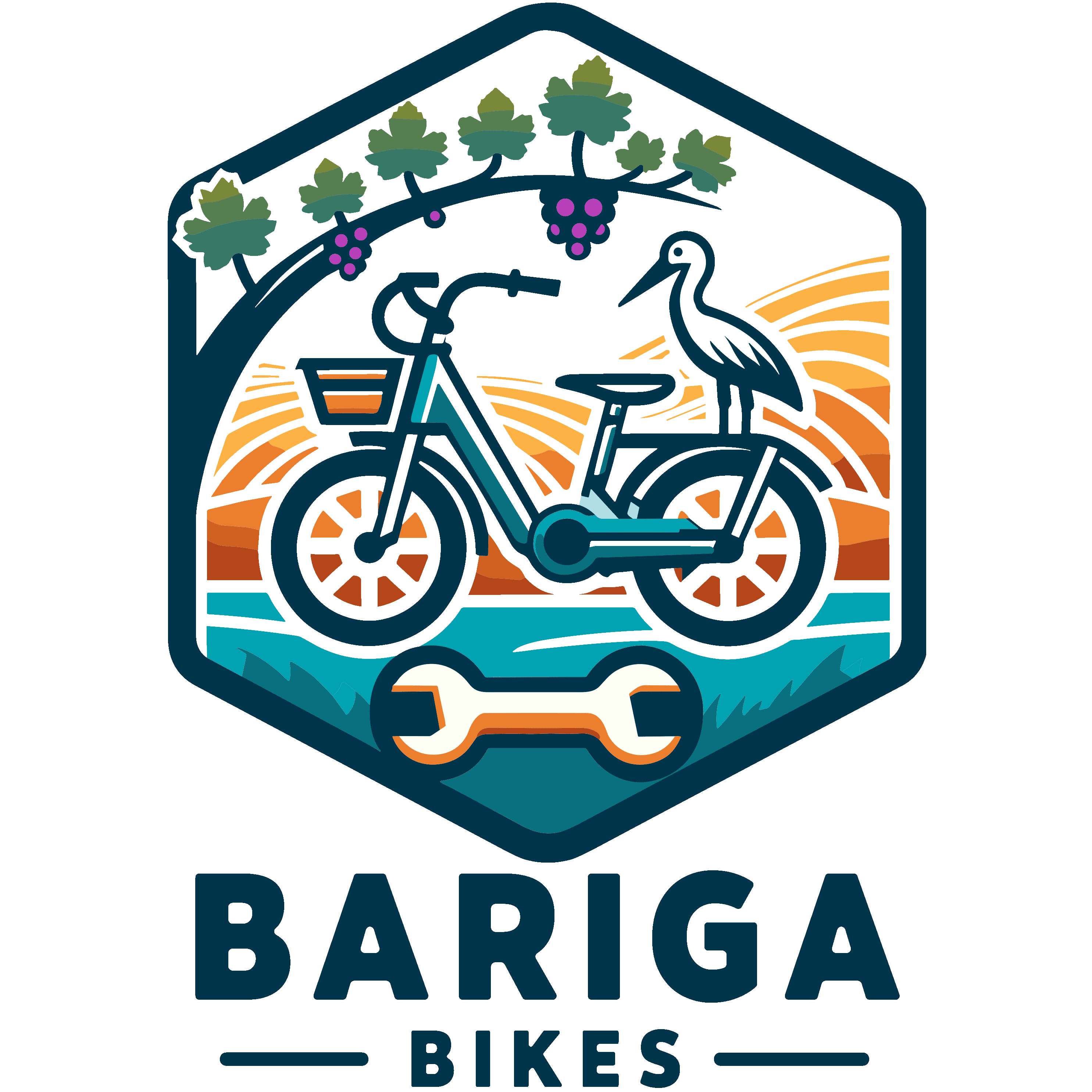 Bariga Bikes